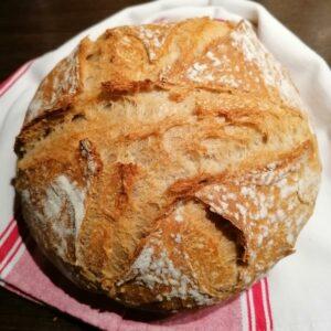 Mon pain sur poolish